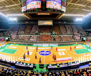 日本のバスケットビジネスは拡大する